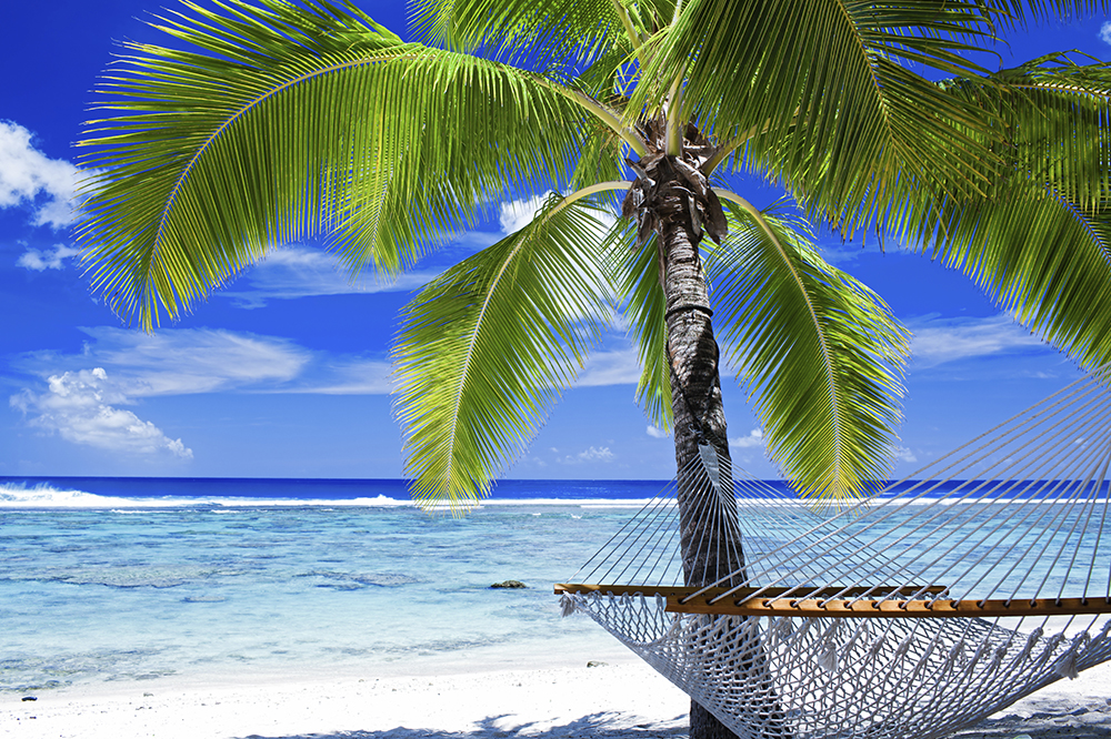 Empty hammock between palm trees